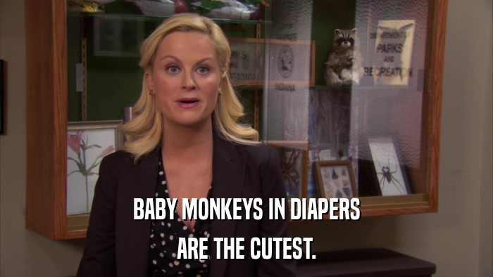 BABY MONKEYS IN DIAPERS ARE THE CUTEST. 