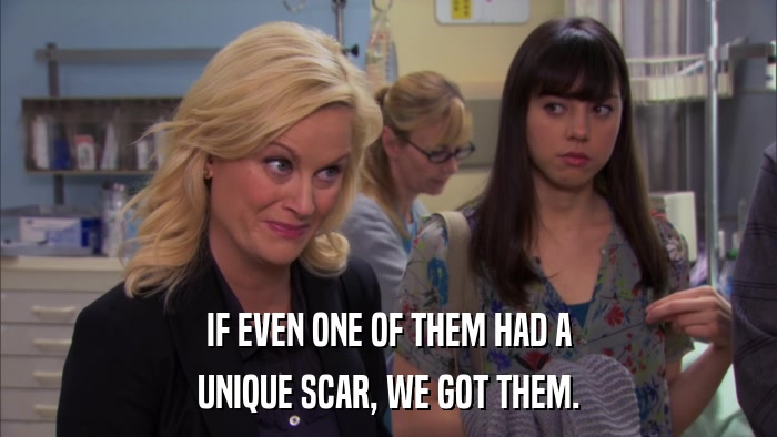 IF EVEN ONE OF THEM HAD A UNIQUE SCAR, WE GOT THEM. 