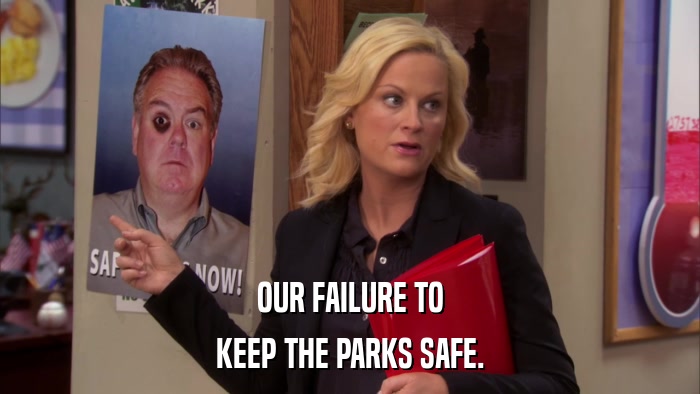 OUR FAILURE TO KEEP THE PARKS SAFE. 