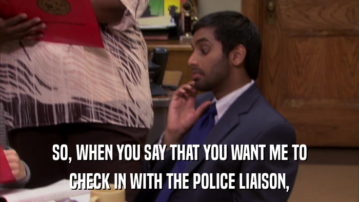 SO, WHEN YOU SAY THAT YOU WANT ME TO CHECK IN WITH THE POLICE LIAISON, 