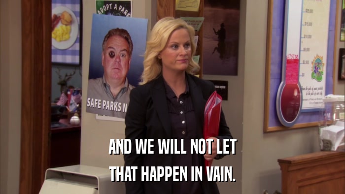 AND WE WILL NOT LET THAT HAPPEN IN VAIN. 