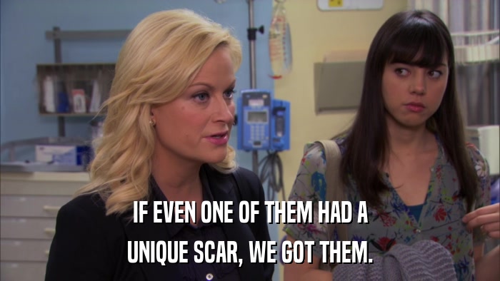 IF EVEN ONE OF THEM HAD A UNIQUE SCAR, WE GOT THEM. 