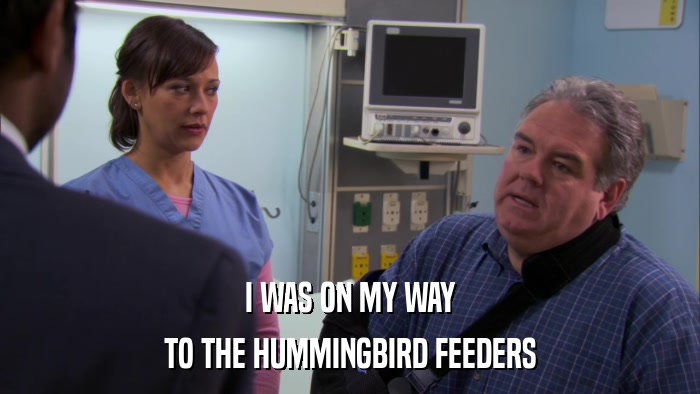 I WAS ON MY WAY TO THE HUMMINGBIRD FEEDERS 