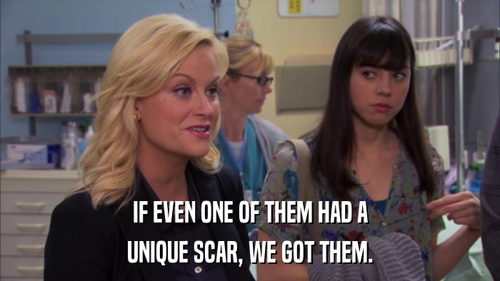 IF EVEN ONE OF THEM HAD A UNIQUE SCAR, WE GOT THEM. 