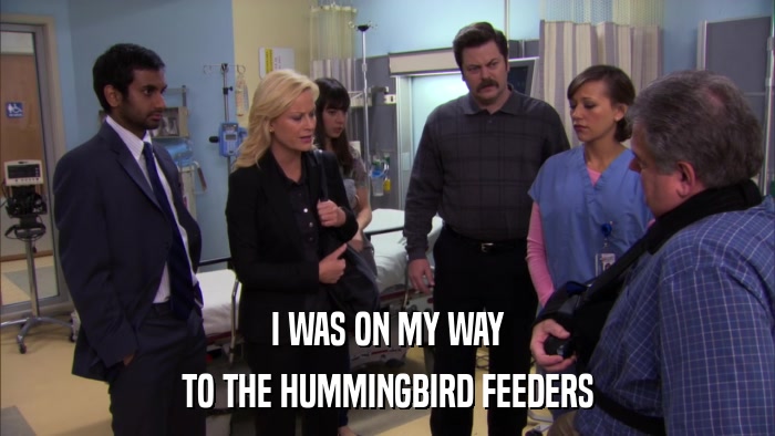 I WAS ON MY WAY TO THE HUMMINGBIRD FEEDERS 