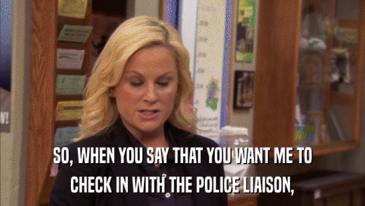 SO, WHEN YOU SAY THAT YOU WANT ME TO CHECK IN WITH THE POLICE LIAISON, 