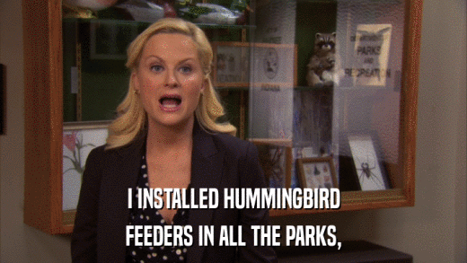 I INSTALLED HUMMINGBIRD FEEDERS IN ALL THE PARKS, 