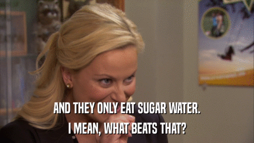 AND THEY ONLY EAT SUGAR WATER. I MEAN, WHAT BEATS THAT? 