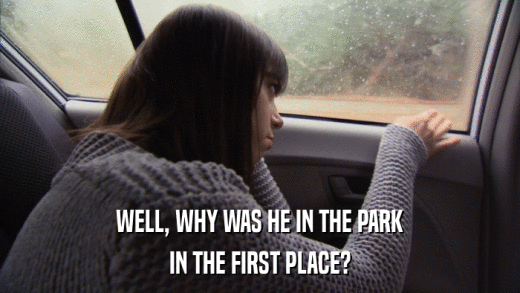 WELL, WHY WAS HE IN THE PARK IN THE FIRST PLACE? 