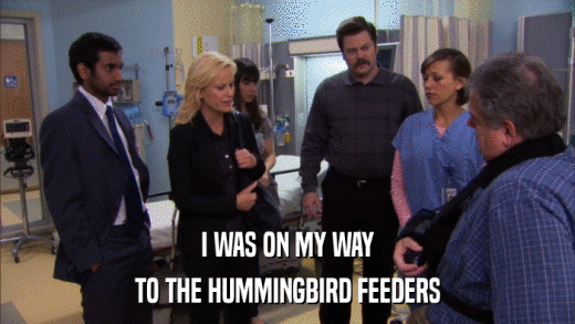 I WAS ON MY WAY TO THE HUMMINGBIRD FEEDERS 