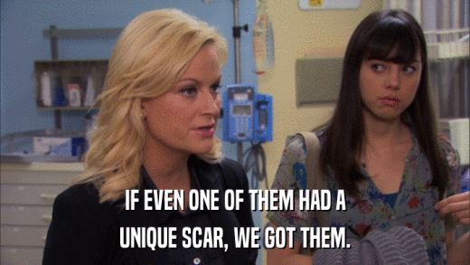 IF EVEN ONE OF THEM HAD A UNIQUE SCAR, WE GOT THEM. 