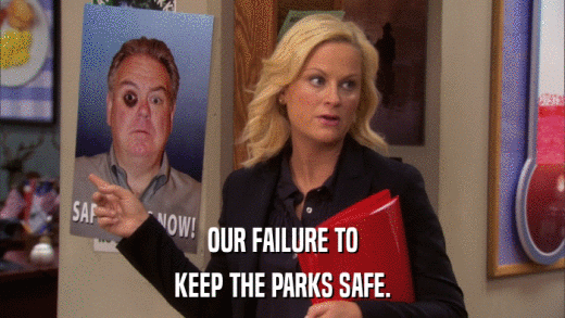 OUR FAILURE TO KEEP THE PARKS SAFE. 