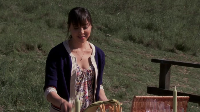 I ALREADY HAVE THE PERFECT TITLE, LIFE IS A PICNIC. 