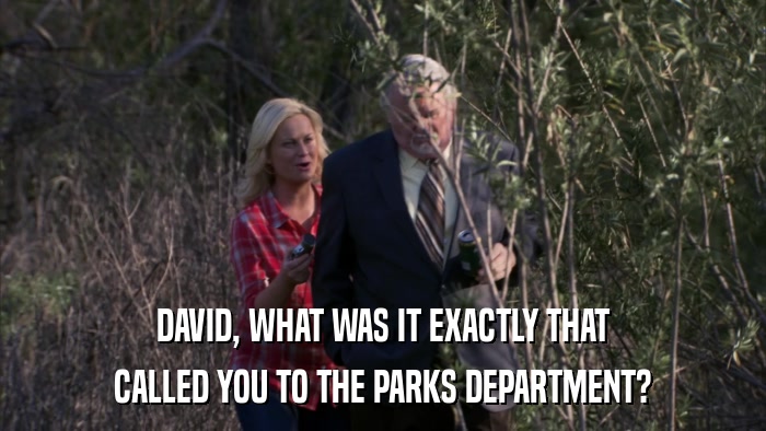 DAVID, WHAT WAS IT EXACTLY THAT CALLED YOU TO THE PARKS DEPARTMENT? 