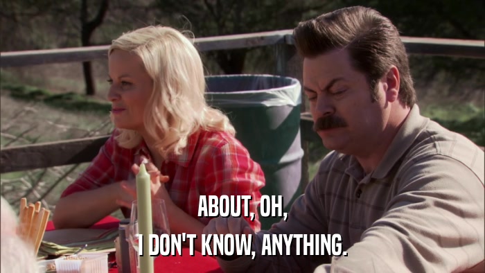 ABOUT, OH, I DON'T KNOW, ANYTHING. 