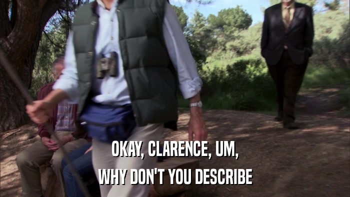 OKAY, CLARENCE, UM, WHY DON'T YOU DESCRIBE 
