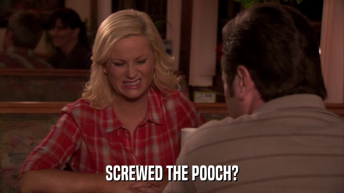 SCREWED THE POOCH?  