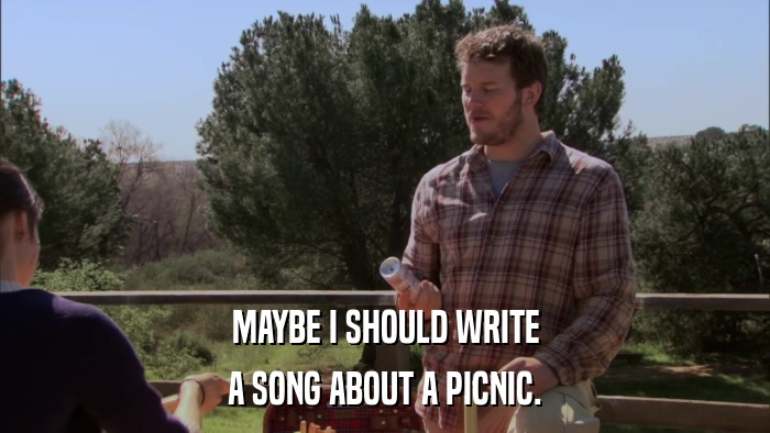 MAYBE I SHOULD WRITE A SONG ABOUT A PICNIC. 