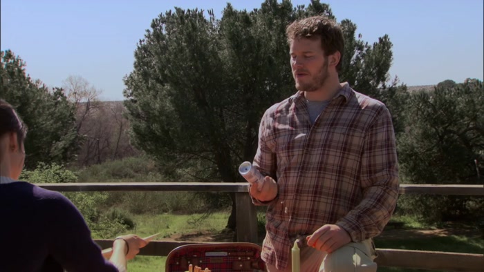 MAYBE I SHOULD WRITE A SONG ABOUT A PICNIC. 