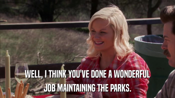 WELL, I THINK YOU'VE DONE A WONDERFUL JOB MAINTAINING THE PARKS. 