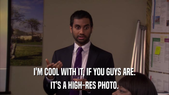 I'M COOL WITH IT, IF YOU GUYS ARE. IT'S A HIGH-RES PHOTO. 
