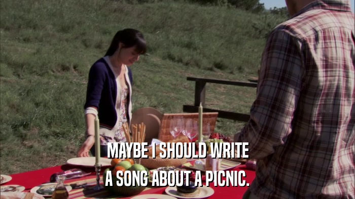 MAYBE I SHOULD WRITE A SONG ABOUT A PICNIC. 