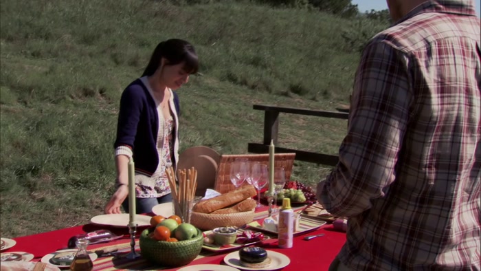 MAYBE I SHOULD WRITE A SONG ABOUT A PICNIC. 