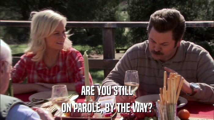 ARE YOU STILL ON PAROLE, BY THE WAY? 