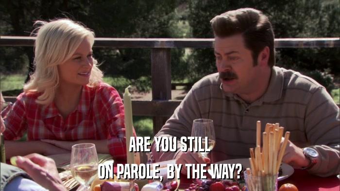 ARE YOU STILL ON PAROLE, BY THE WAY? 