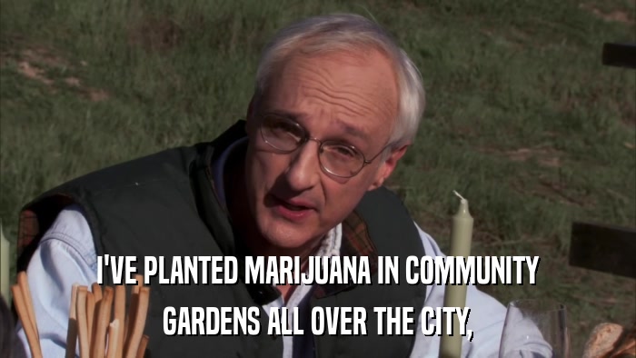 I'VE PLANTED MARIJUANA IN COMMUNITY GARDENS ALL OVER THE CITY, 