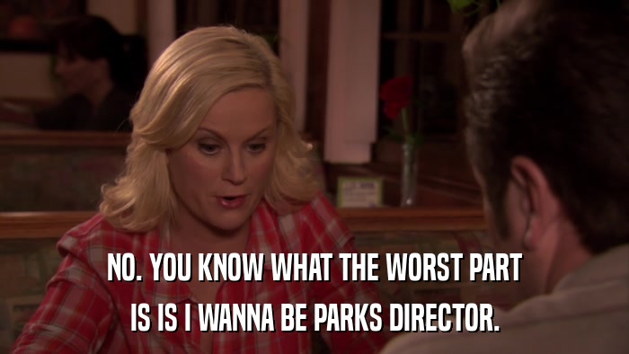 NO. YOU KNOW WHAT THE WORST PART IS IS I WANNA BE PARKS DIRECTOR. 