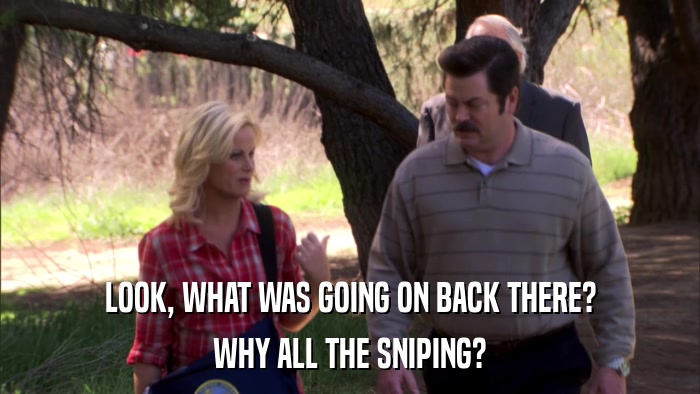 LOOK, WHAT WAS GOING ON BACK THERE? WHY ALL THE SNIPING? 