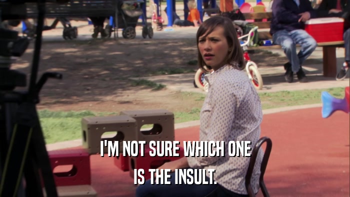 I'M NOT SURE WHICH ONE IS THE INSULT. 