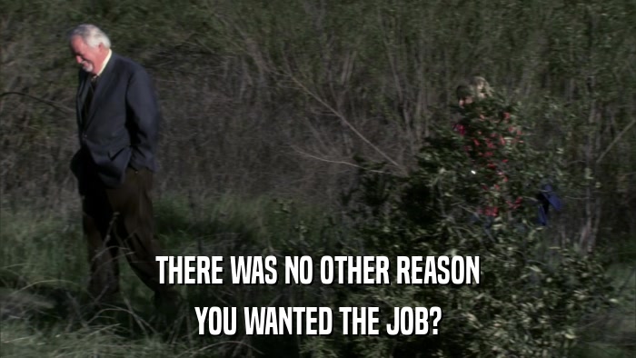 THERE WAS NO OTHER REASON YOU WANTED THE JOB? 