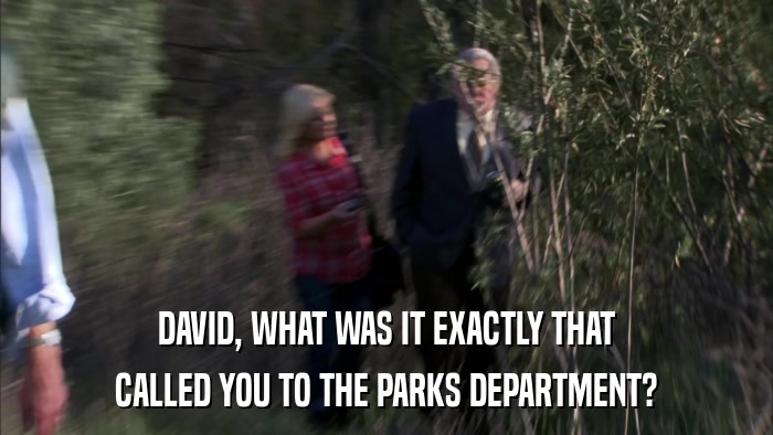 DAVID, WHAT WAS IT EXACTLY THAT CALLED YOU TO THE PARKS DEPARTMENT? 