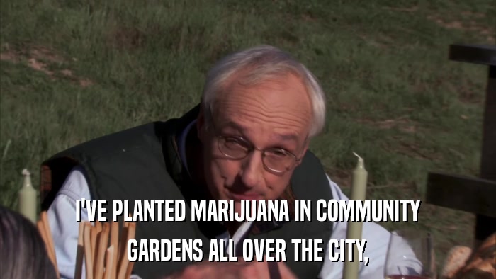 I'VE PLANTED MARIJUANA IN COMMUNITY GARDENS ALL OVER THE CITY, 