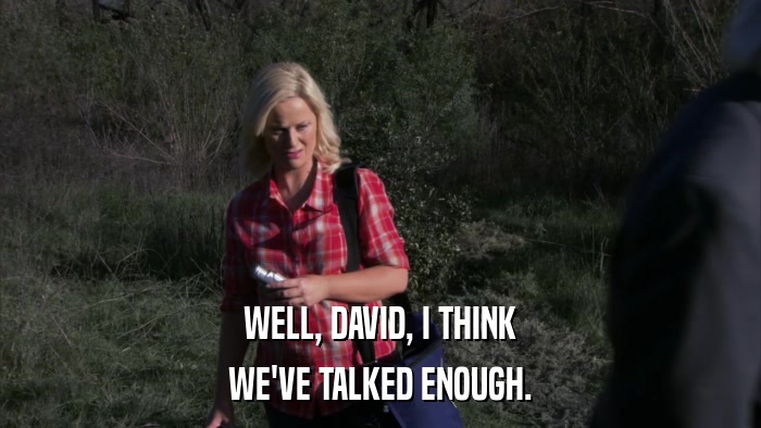 WELL, DAVID, I THINK WE'VE TALKED ENOUGH. 
