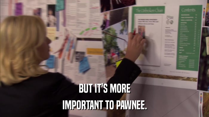 BUT IT'S MORE IMPORTANT TO PAWNEE. 