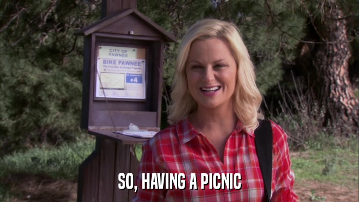 SO, HAVING A PICNIC  