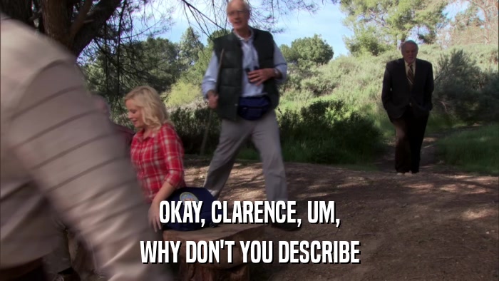 OKAY, CLARENCE, UM, WHY DON'T YOU DESCRIBE 