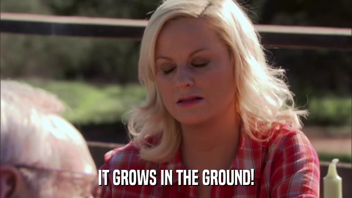 IT GROWS IN THE GROUND!  