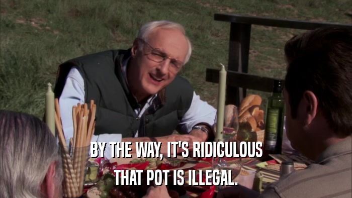 BY THE WAY, IT'S RIDICULOUS THAT POT IS ILLEGAL. 
