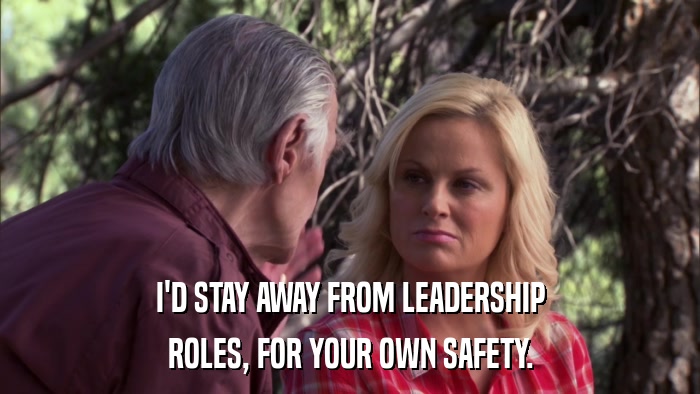 I'D STAY AWAY FROM LEADERSHIP ROLES, FOR YOUR OWN SAFETY. 