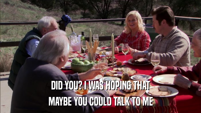 DID YOU? I WAS HOPING THAT MAYBE YOU COULD TALK TO ME 