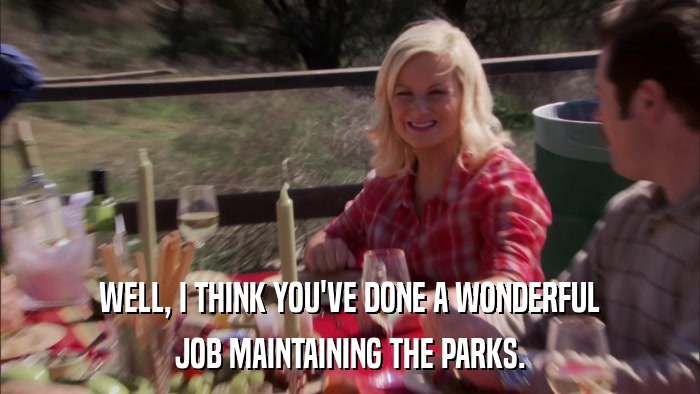 WELL, I THINK YOU'VE DONE A WONDERFUL JOB MAINTAINING THE PARKS. 