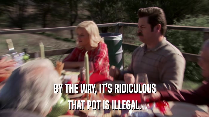 BY THE WAY, IT'S RIDICULOUS THAT POT IS ILLEGAL. 