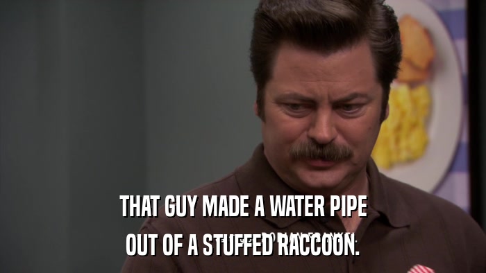 THAT GUY MADE A WATER PIPE OUT OF A STUFFED RACCOON. 