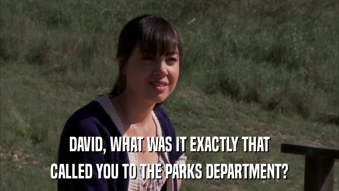 DAVID, WHAT WAS IT EXACTLY THAT CALLED YOU TO THE PARKS DEPARTMENT? 