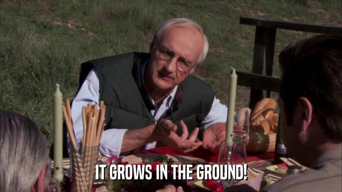 IT GROWS IN THE GROUND!  