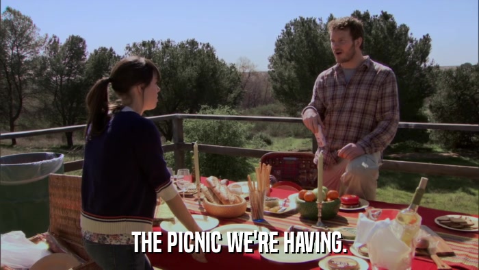 THE PICNIC WE'RE HAVING.  